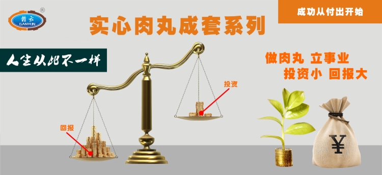 實(shí)心肉丸成套設(shè)備，讓你從此不一樣